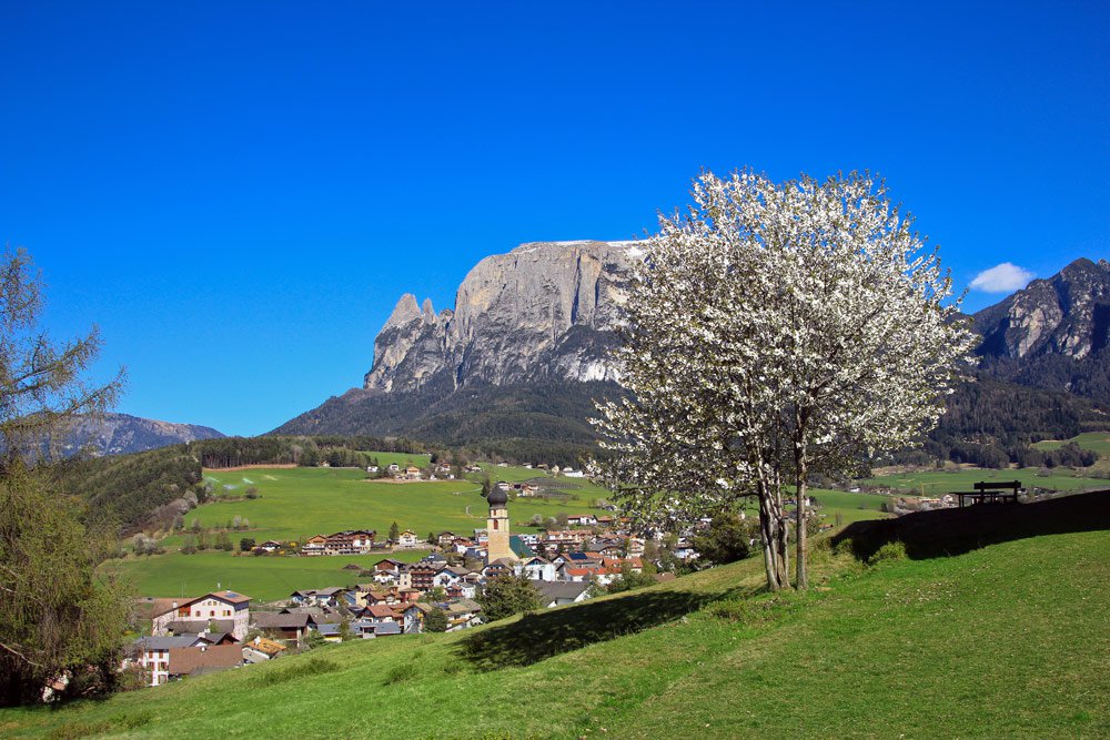 Dolomiten Frühling Seiser in › Alm - den