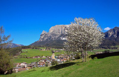 fruhling-in-den-bergen-fruhlingserwachen-seiser-alm_2