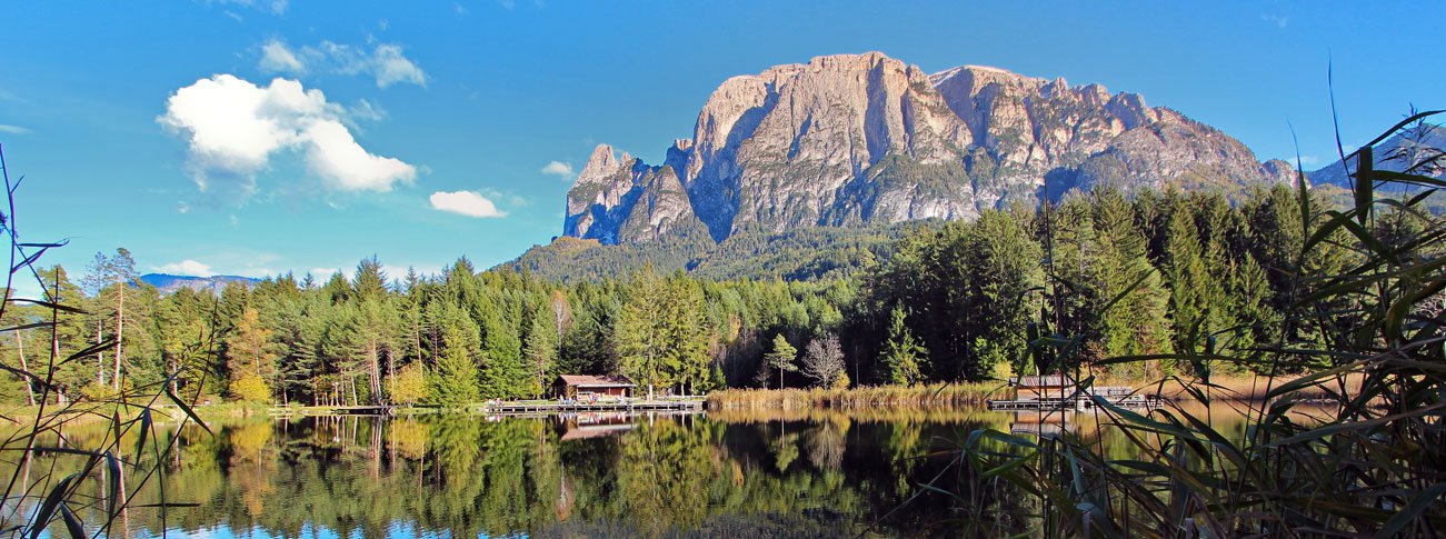 Alm Frühling › in den Dolomiten - Seiser